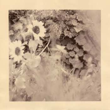 LP The Reds, Pinks And Purples: Summer At Land's End LTD | CLR