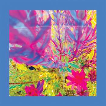 Album The Reds, Pinks And Purples: The Past Is A Garden I Never Fed