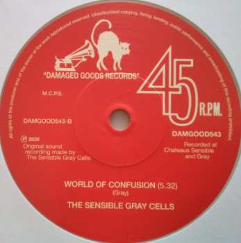 SP The Sensible Gray Cells: Get Back Into The World LTD | CLR