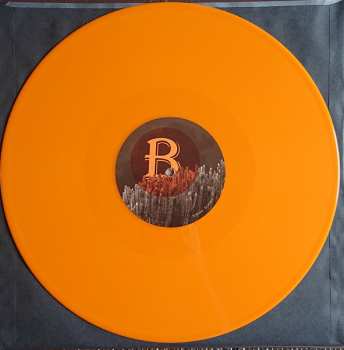 LP The Shadow Lizzards: Paradise CLR | LTD