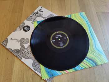 LP The Shins: Wincing The Night Away CLR