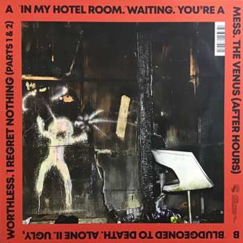 LP The Shits: You're A Mess LTD