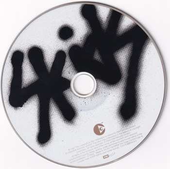 CD Skids: Skids Into The Valley: The Best Of The Skids