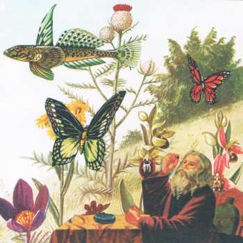 CD The Skygreen Leopards: Life & Love In Sparrow's Meadow