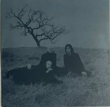 2LP The Smashing Pumpkins: Adore