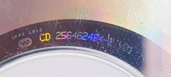 CD The Subways: Young For Eternity