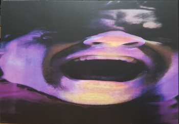 3LP/Dobozkészlet/Blu-ray The Tragically Hip: Fully Completely DLX