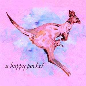 Album The Trash Can Sinatras: A Happy Pocket