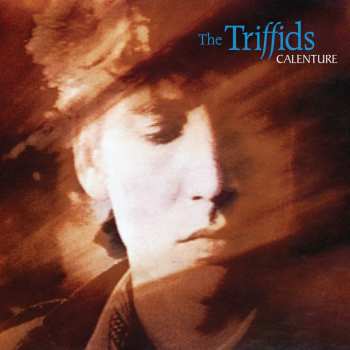 LP The Triffids: Calenture