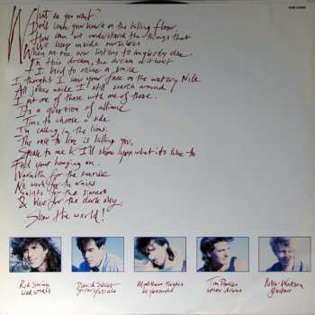 LP The Venetians: Calling In The Lions