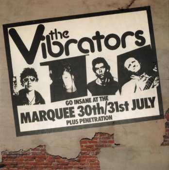 4CD/Dobozkészlet The Vibrators: The Epic Years 1976-1978