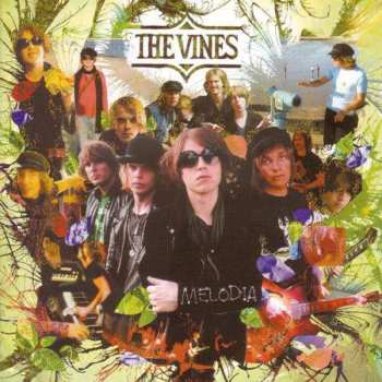 CD The Vines: Melodia