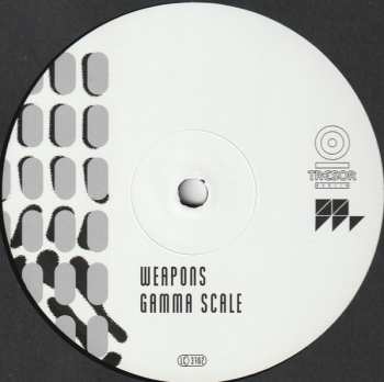 2LP The Vision: Waveform Transmission Vol. 2