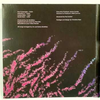 CD The Vitamin String Quartet: Vitamin String Quartet Performs Björk