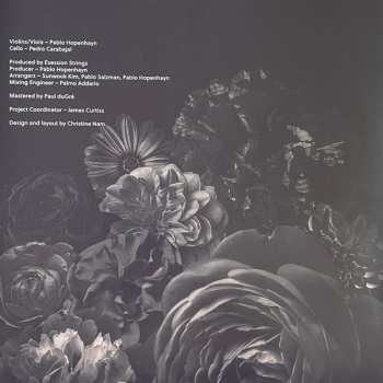 LP The Vitamin String Quartet: Vitamin String Quartet Performs Lana Del Rey CLR | LTD