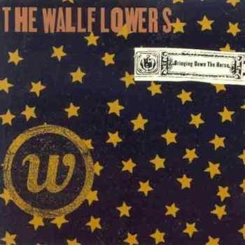 CD The Wallflowers: Bringing Down The Horse