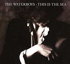 2CD The Waterboys: This Is The Sea