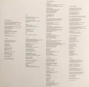 LP The Wave Pictures: Brushes With Happiness LTD