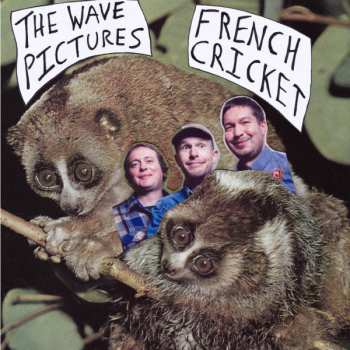 Album The Wave Pictures: French Cricket