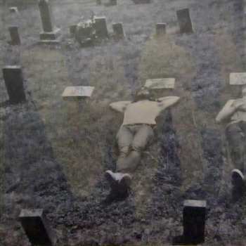 LP/CD The Whigs: In The Dark