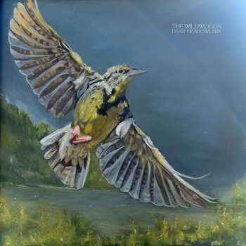 Album The Wildwoods: Dear Meadowlark