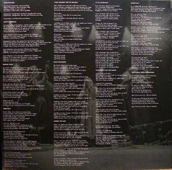 LP The Wildwoods: Dear Meadowlark