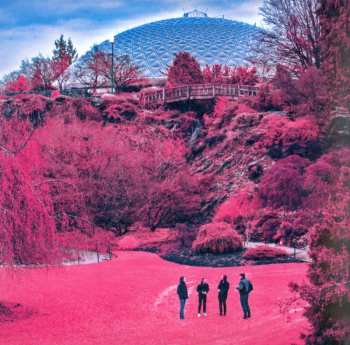 Album The Zolas: Swooner