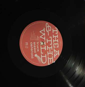 LP Thea And The Wild: Truck Sized Asteroid