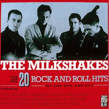 20 Rock And Roll Hits Of The 50's And 60's