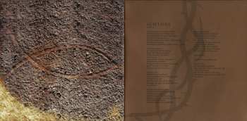 CD Theocracy: Theocracy