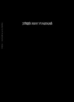 CD These New Puritans: Hidden