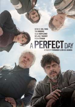 Album This Perfect Day: This Perfect Day