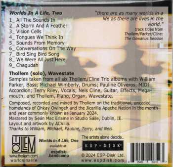 CD Thollem McDonas: Worlds In A Life, Two