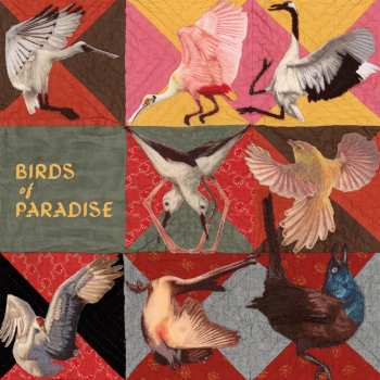 CD Thomas Dollbaum: Birds Of Paradise