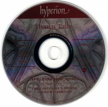 CD Thomas Tallis: Ave, Rosa Sine Spinis