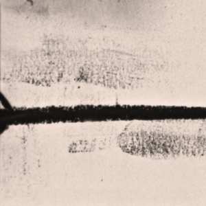 Album Thus:Owls: Black Matter