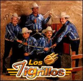 Tigrillos: Bailame