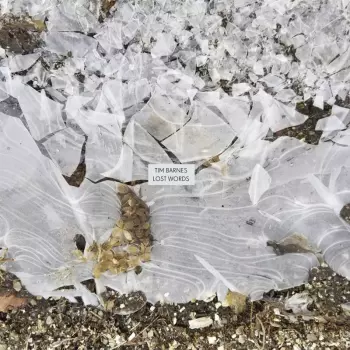 Tim Barnes: Lost Words