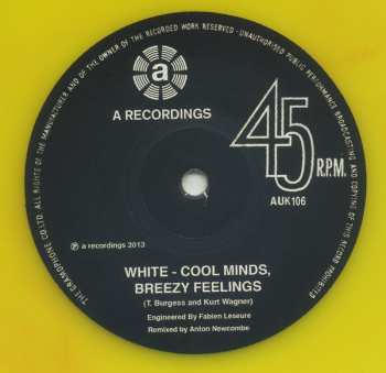 LP Tim Burgess: The Doors Of Then - I Am Yours, I Am You CLR