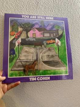 LP Tim Cohen: You Are Still Here