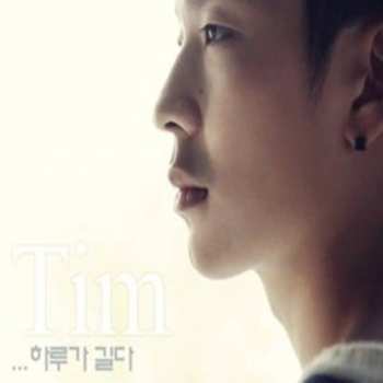 Album TIM: It's Long Day