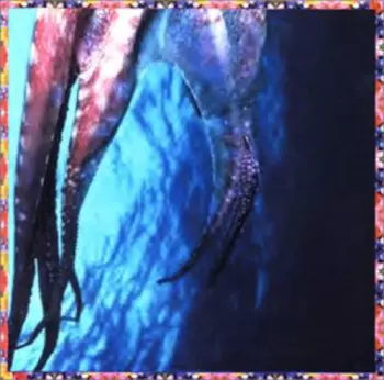 Time Of Orchids: Melonwhisper