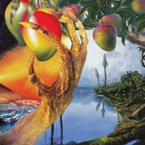 Album Timelash: A Morphology Of Wonders