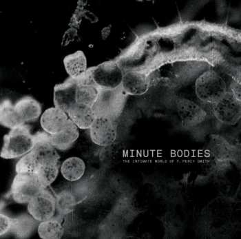 CD/DVD Tindersticks: Minute Bodies - The Intimate World Of F. Percy Smith LTD | DLX