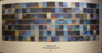 LP Tindersticks: The Something Rain