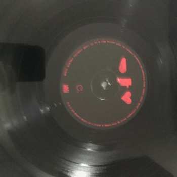 2LP Various: Tiny Changes: A Celebration Of Frightened Rabbit's 'The Midnight Organ Fight'