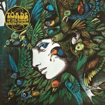 Album Toads Of The Short Forest: Mindmower