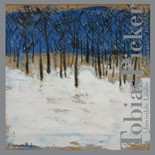 CD Tobias Picker: Invisible Lilacs