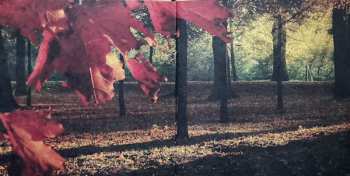 CD Todesbonden: Sleep Now, Quiet Forest LTD | DIGI