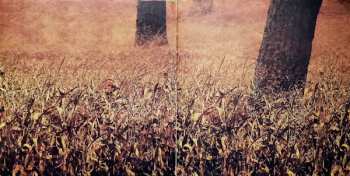 CD Todesbonden: Sleep Now, Quiet Forest LTD | DIGI